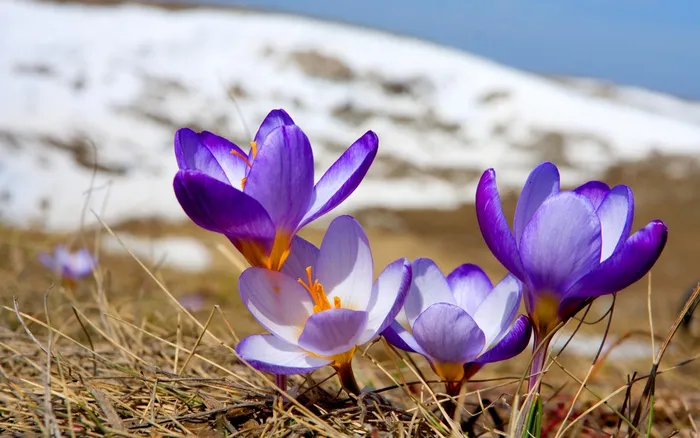 1566939795-spring-2560h160027