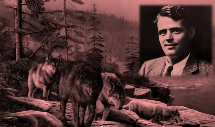 картинка для сайта администрации