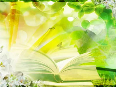 «Летнее солнце на книжной странице»&nbsp;